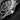 Omega Seamaster Diver 43.5 21092442001001 | Lone Star Timepieces DFW