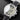 Breguet Type Xxi Flyback 3810ST/92/9ZU | Dallas Watch Store