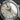 Grand Seiko Elegance Collection SBGY023G | Dallas Watch Store