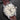 Cream Grand Seiko Elegance GMT SBGM021 | Lone Star Timepieces Texas
