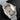 Grand Seiko Sport Collection 20th Anniversary Limited Edition SBGA403 | Dallas Watch Store