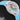 Hublot Classic Fusion Takashi Murakami Sapphire Rainbow 507.JX.0800.RT.TAK21 | Dallas Watch Store