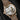 Laurent Ferrier Classic Moon LCF039.R5.G3N | Dallas Watch Store