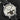 Maurice Lacroix Masterpiece Tourbillon Retrograde MP7088-PL201-110 | Dallas Watch Store