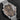 Omega Seamaster Diver 300M 007 210.90.42.20.01.001