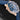 Omega Seamaster Diver 300 M 210.62.42.20.03.001 | Dallas Watch Store