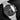 Omega Speedmaster 321 Ed White 311.30.40.30.01.001 | Dallas Watch Store