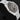 Omega Speedmaster Moonwatch Apollo 11 31020425001001 | Lone Star Timepieces