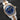 Oris Divers Sixty-Five 01 733 7707 4355 | Dallas Watch Store