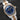 Oris Divers Sixty-Five 01 733 7707 4355