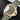 Panerai Luminor Chrono Flyback Mahendra Singh Dhoni PAM 01057 | Dallas Watch Store