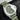 Panerai Submersible Verde Militare PAM01055 | Lone Star Timepieces DFW