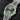 Rolex Day-Date 40 228239 | Dallas Watch Store