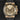 Rolex Daytona 126518ln | Dallas Watch Store