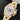 Rolex Daytona Yellow Gold 16528 | Dallas Watch Store