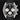 TAG Heuer Carrera Chronograph CBS2210.FC6534 | Dallas Watch Store