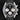 TAG Heuer Carrera Chronograph CBS2210.FC6534 | Dallas Watch Store