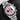 Tudor Black Bay Chronograph Pink 79360N | Dallas Watch Store