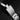 Tudor Black Bay Fifty-Eight M79030N-0001 | Dallas Watch Store