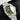Tudor Black Bay Harrods Special Edition M79230G-0001 | Dallas Watch Store