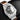 Tudor Black Bay P01 M70150-0001 | Dallas Watch Store