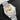 Tudor Ranger Dune 79950 | Dallas Watch Store