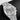 Vacheron Constantin Overseas Dual Time 7900V | Lone Star Timepieces Dallas