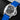 Right angled view of the 44mm stainless steel case, unidirectional rotating bezel, and black dial configuration of the Panerai Submersible PAM01229