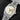 Angled front view of the 36mm stainless steel vintage Rolex Datejust 1603 showing the engine-turned bezel and silver crest dial