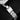 close-up studio shot focusing on the brushed stainless steel oyster bracelet and its low-profile folding safety clasp